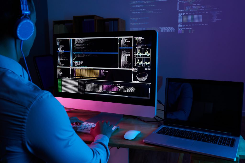 IT Software Development Service